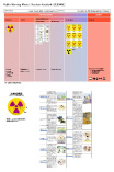 Nuclear Accident